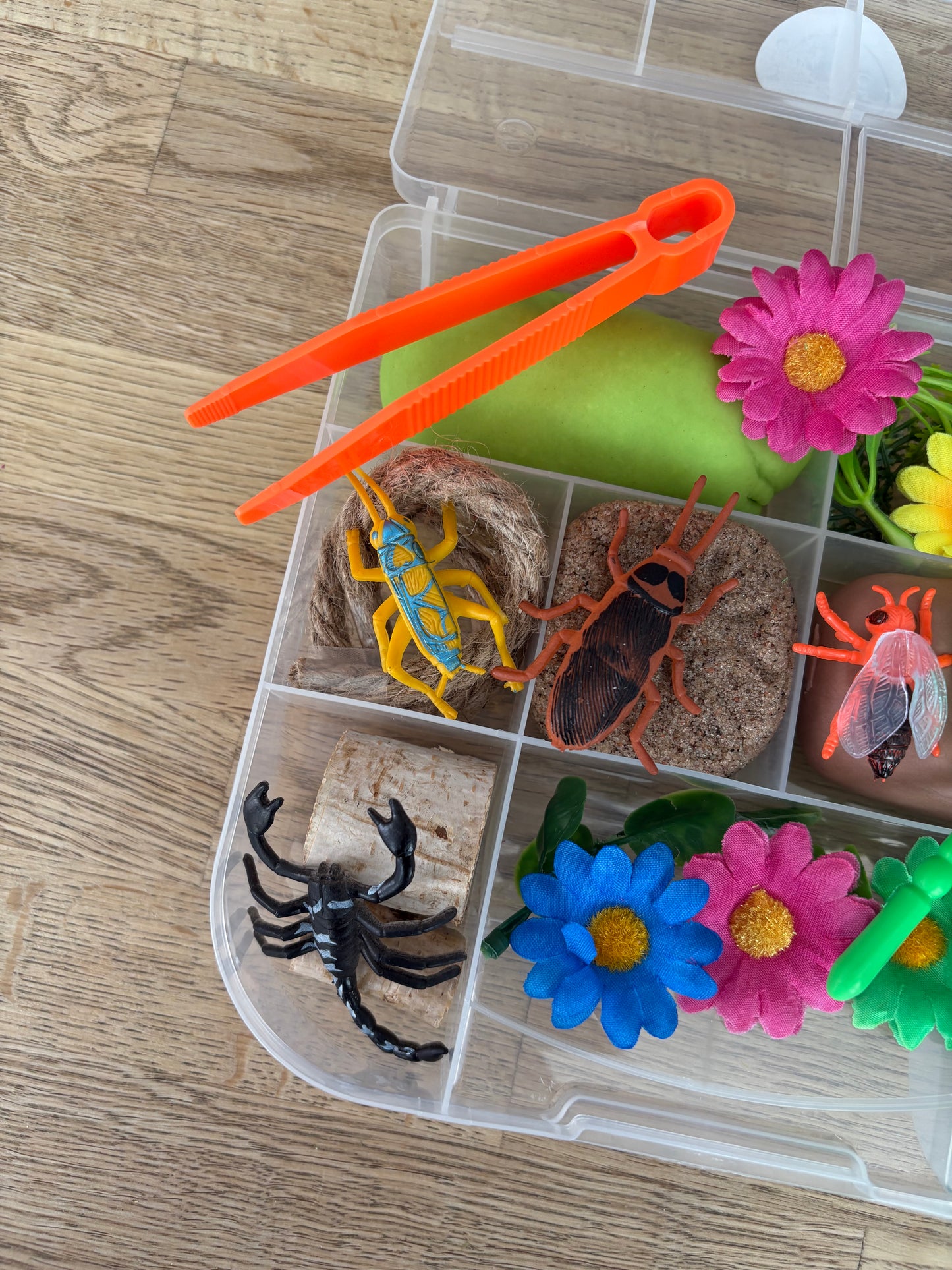 Bug Catching Play-Dough Kit