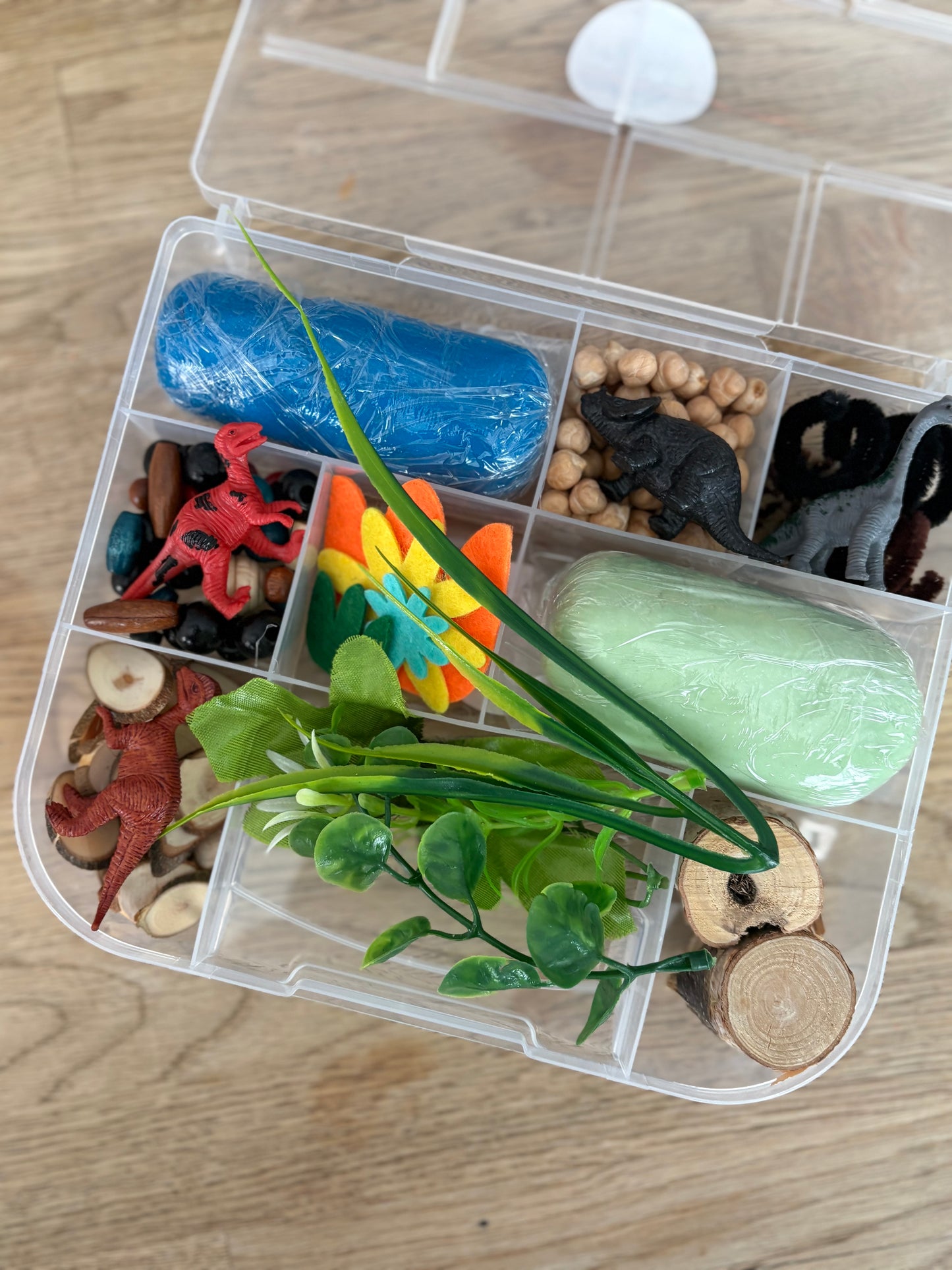 Dinosaur Play-Dough kit