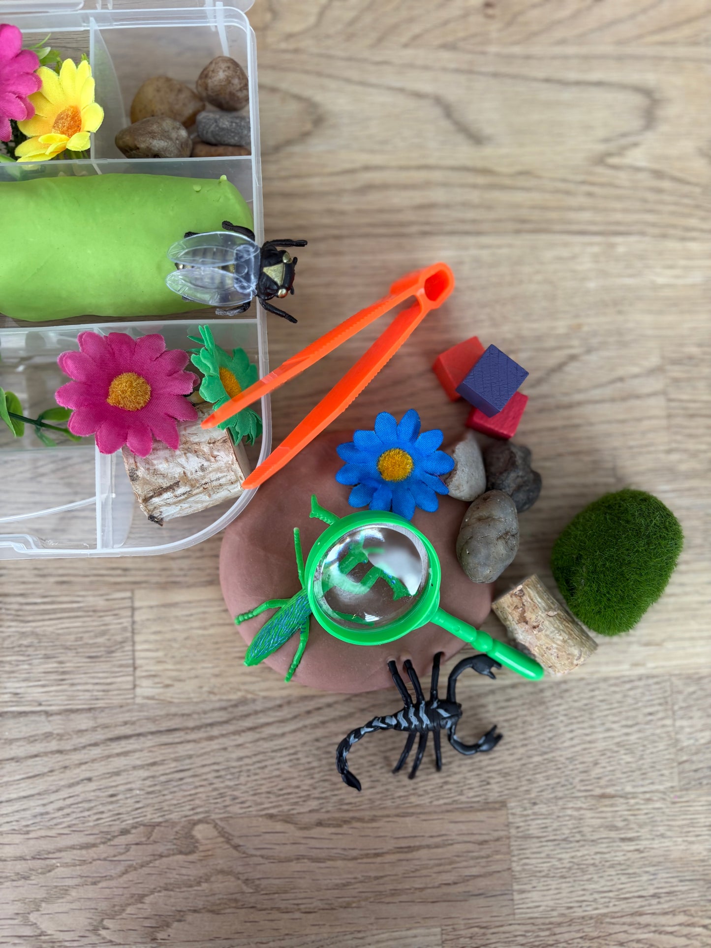 Bug Catching Play-Dough Kit