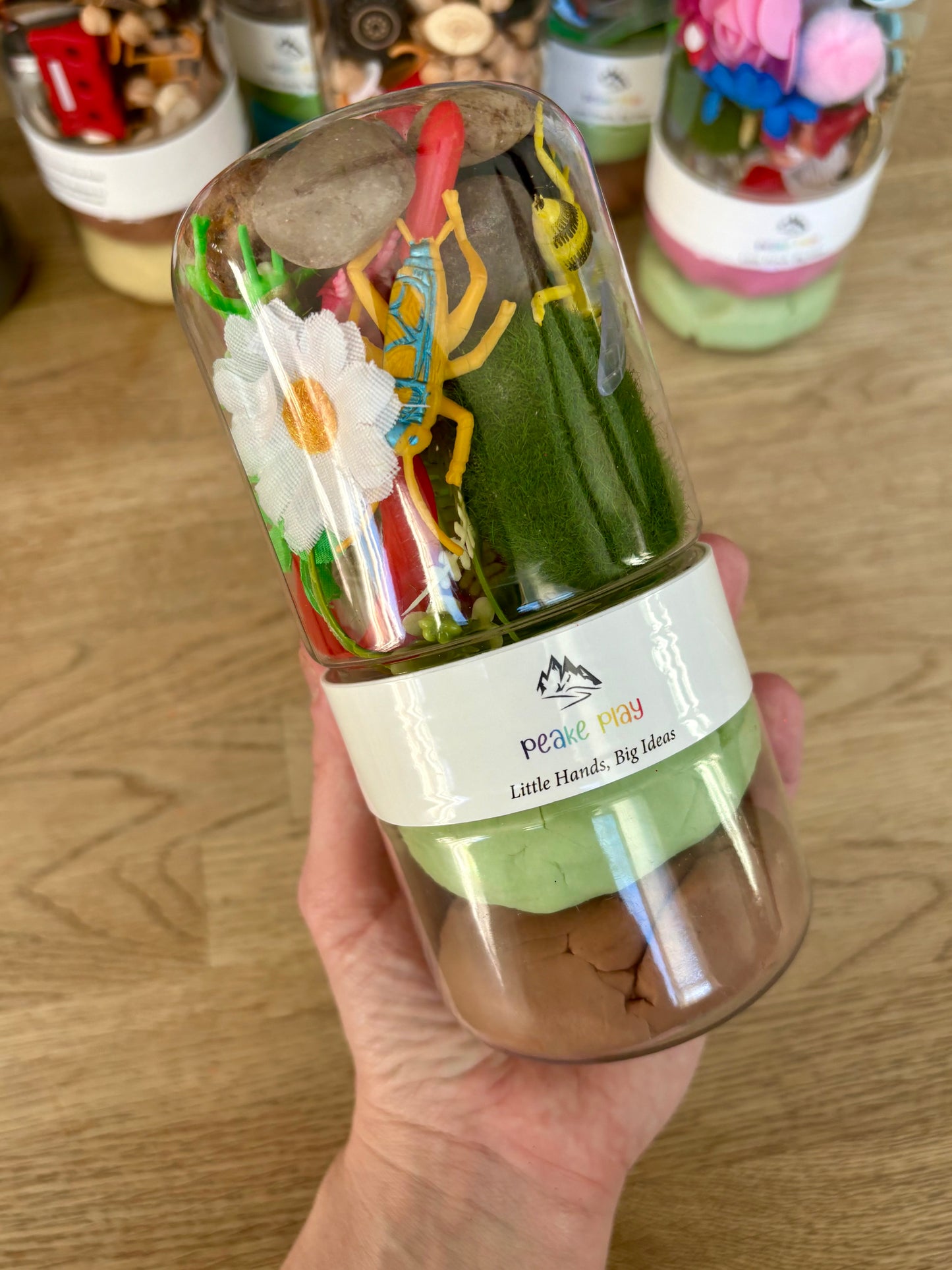 Bug Catching Play-Dough Kit