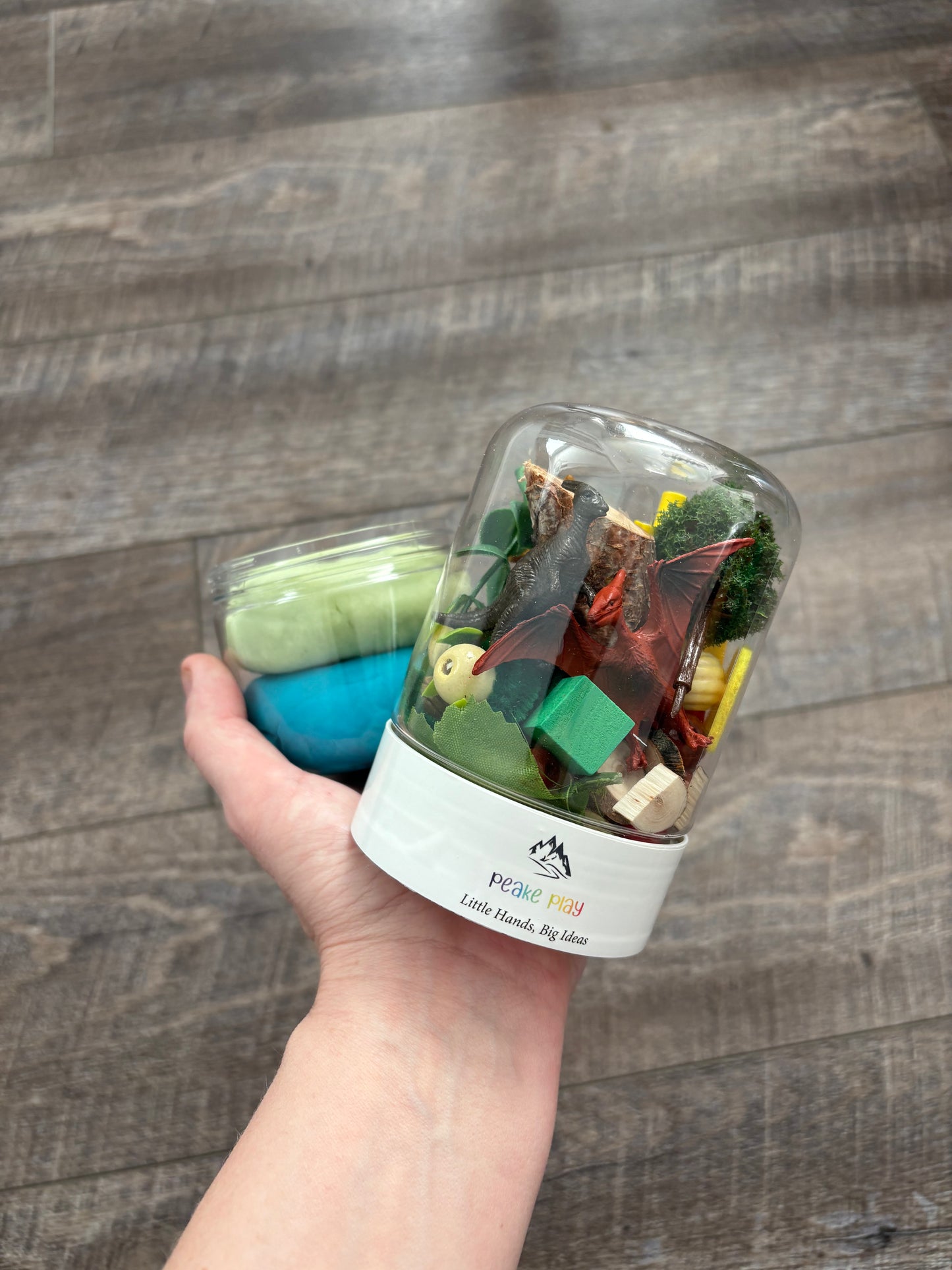 Dinosaur Play-Dough kit